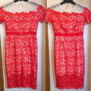 JAX Zinnia‎ Orange Cream Illusion Lace Shea…